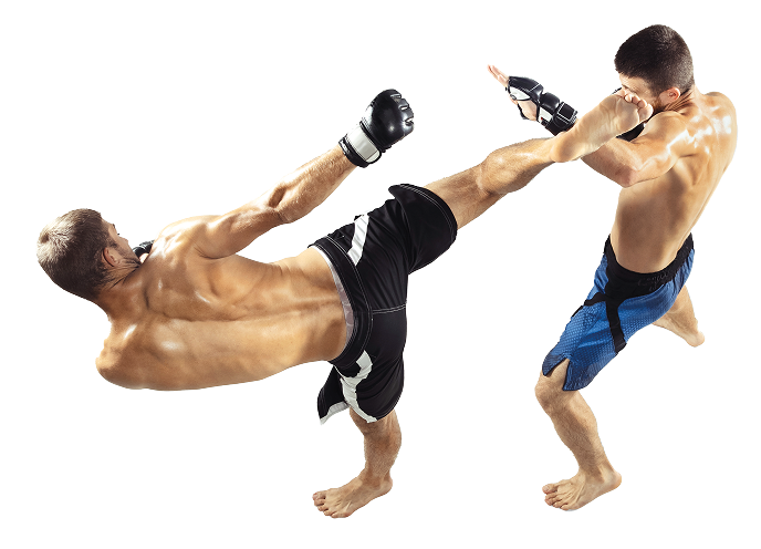 zwei professionelle kickboxer