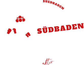Kickboxteam Südbaden Logo im Footer